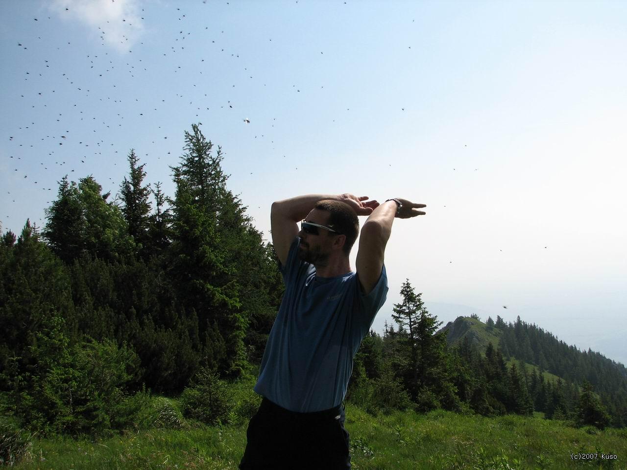 Po kliknut sa zobraz v plnej vekosti